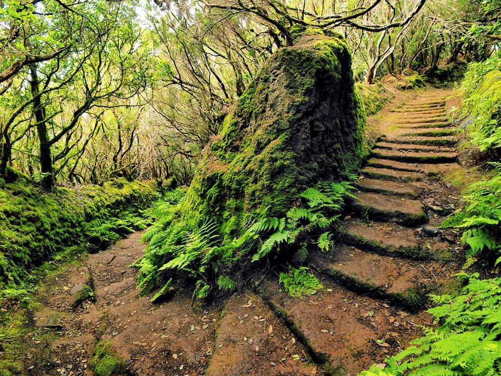 Casa Villa Tenerife Las Galletas Exteriér fotografie